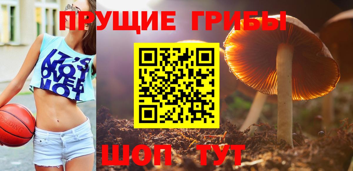 Псилоцибиновые грибы GOLDEN TEACHER  купить  сайты  Алапаевск  Вход с VPN 